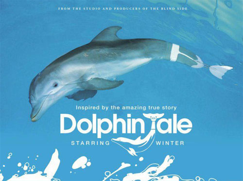 rip Dolphin Tale DVD with Magic DVD Ripper